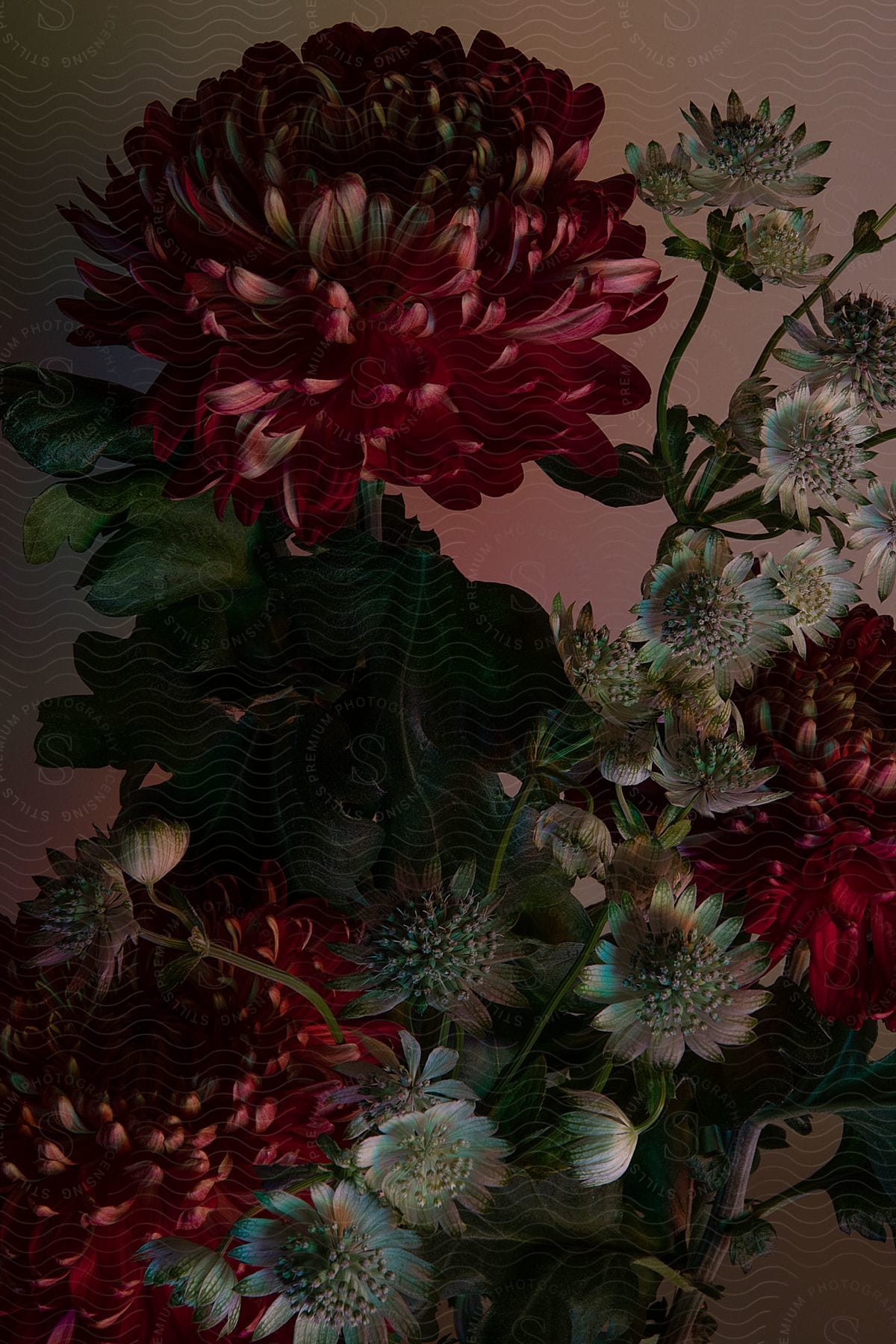 Bouquet with red and white flowers and the background focused