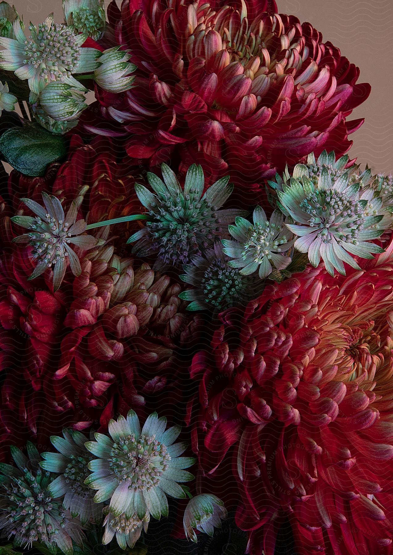 An arrangement of white and red flowers.