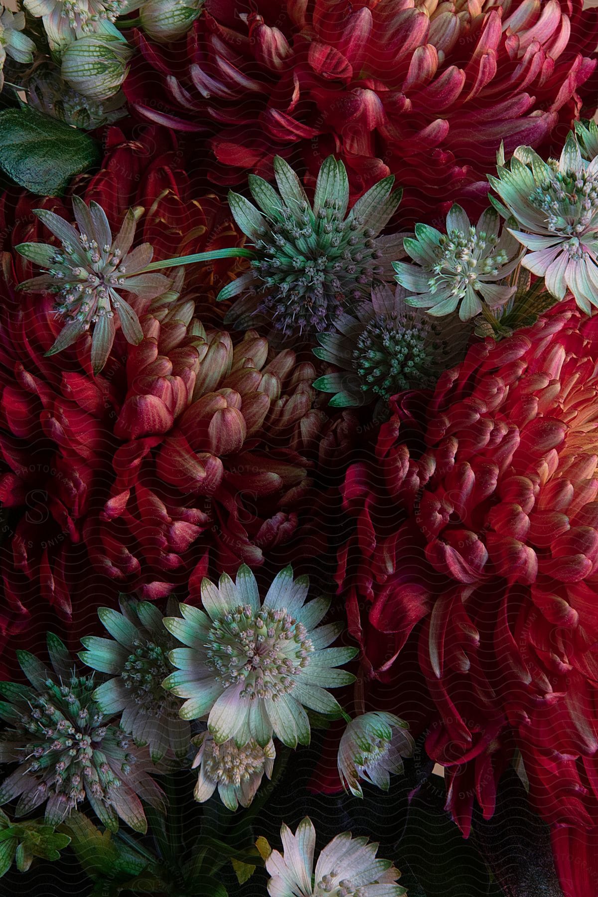 A flower arrangement sitting on a table.