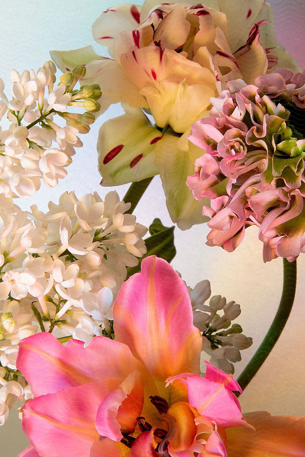 A colorful flower bouquet with white lilies with red spots and another flower that is pink and yellow.