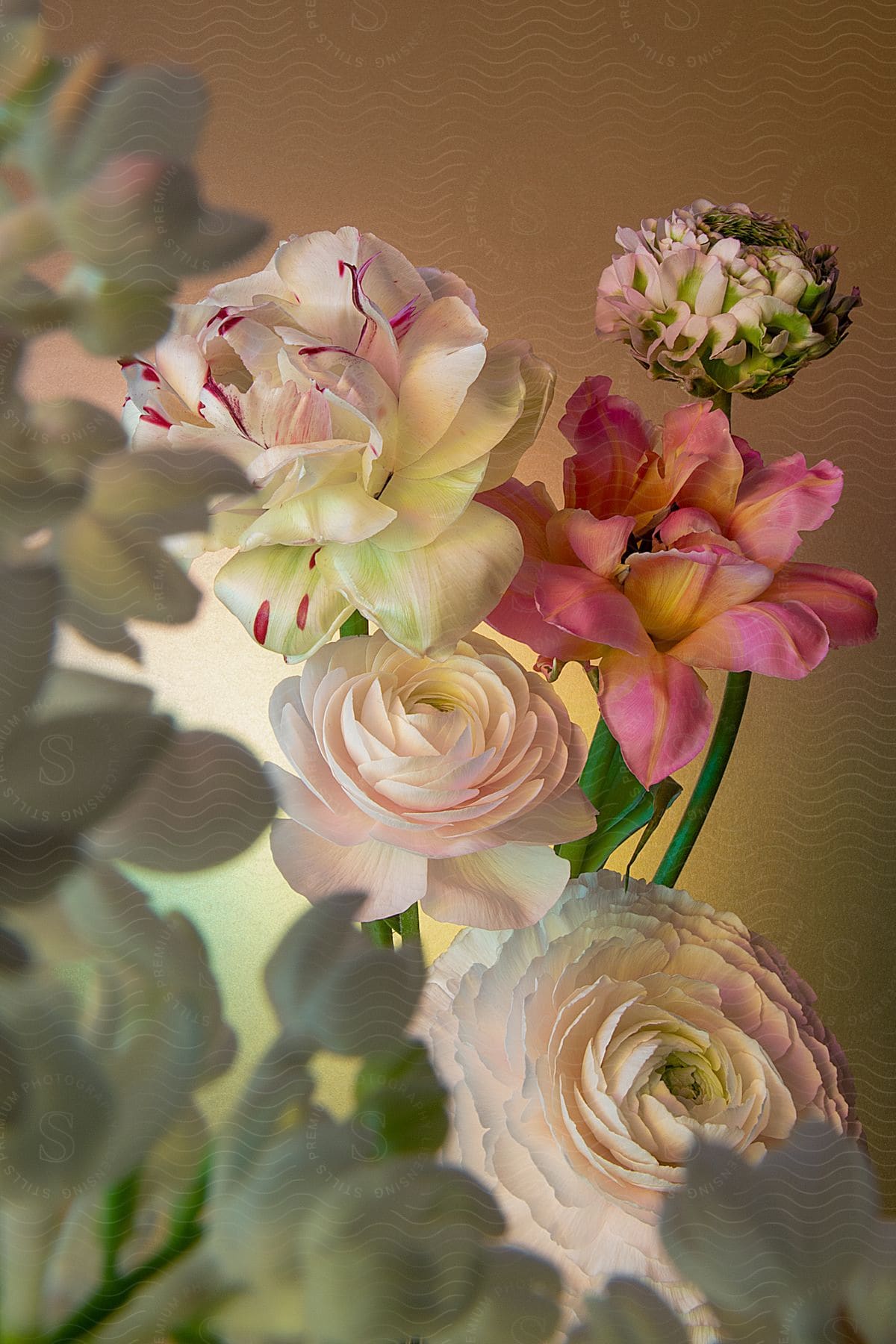 A Close Up Image Of A White Rose Flower