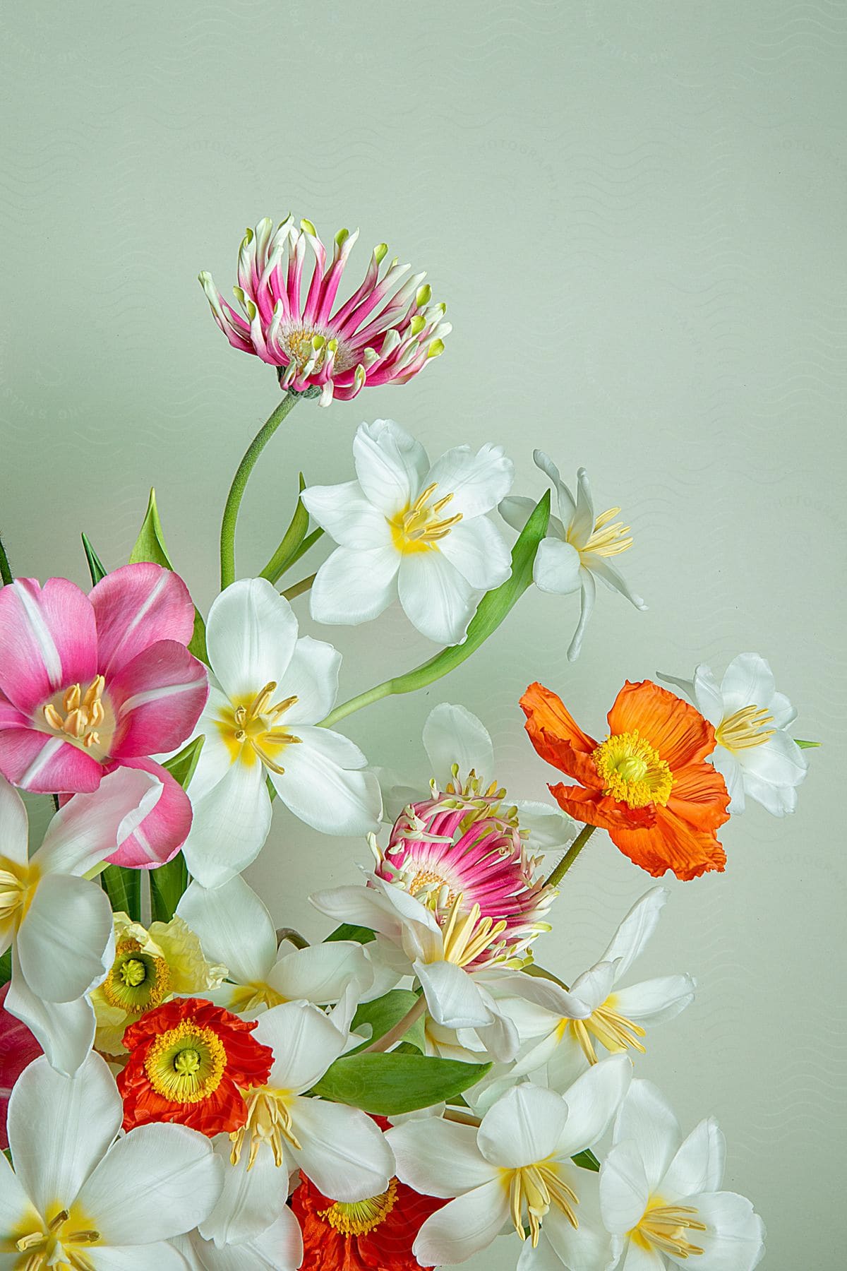 An arrangement of white, pink and orange flowers.