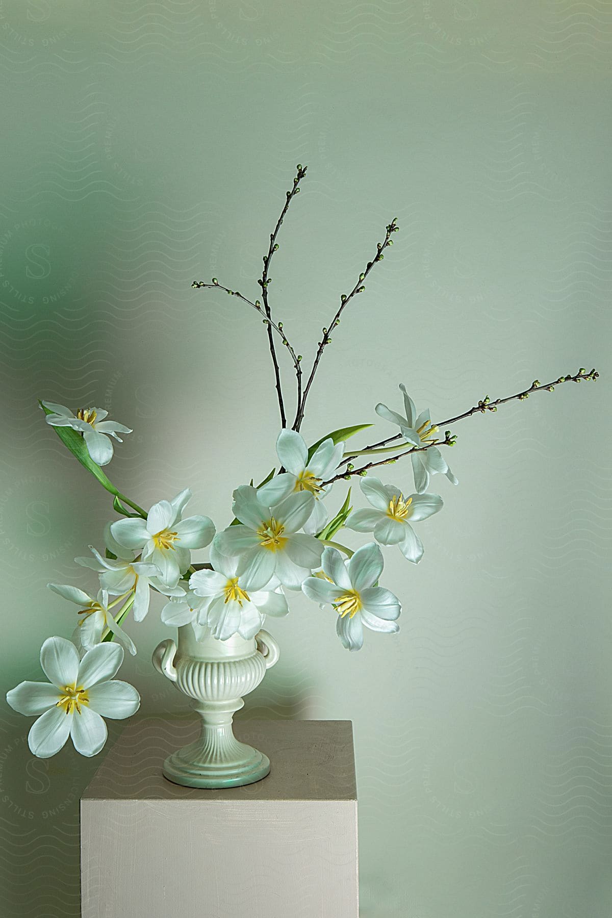 A plant sitting in a vase on a table indoors.