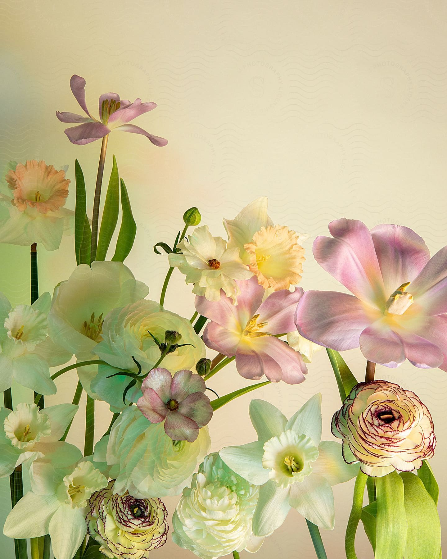 A variety of colorful flowers, harmoniously arranged on a light background.