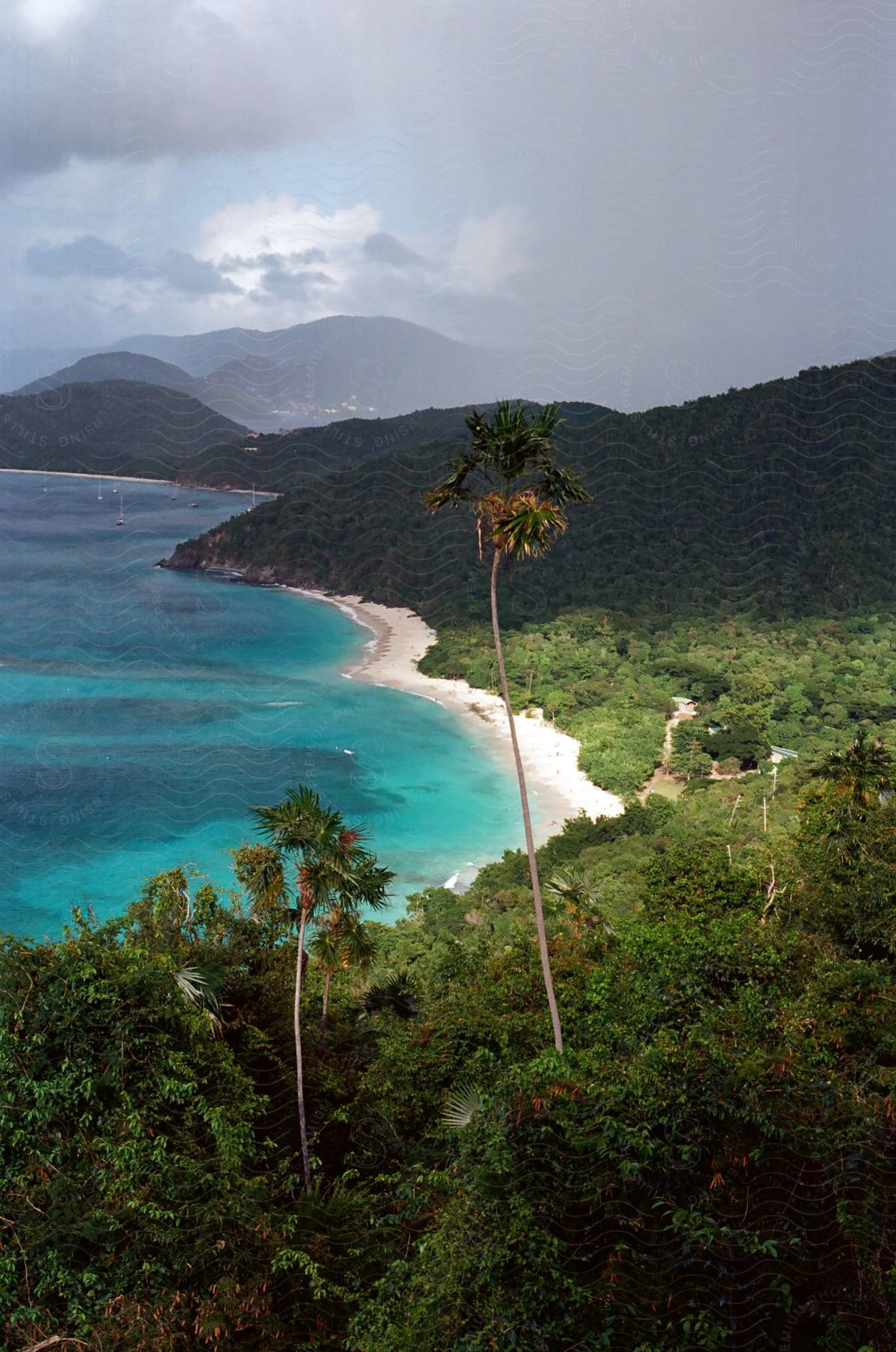 Panorama of a turquoise blue shoreline beach with vegetation on a cloudy day