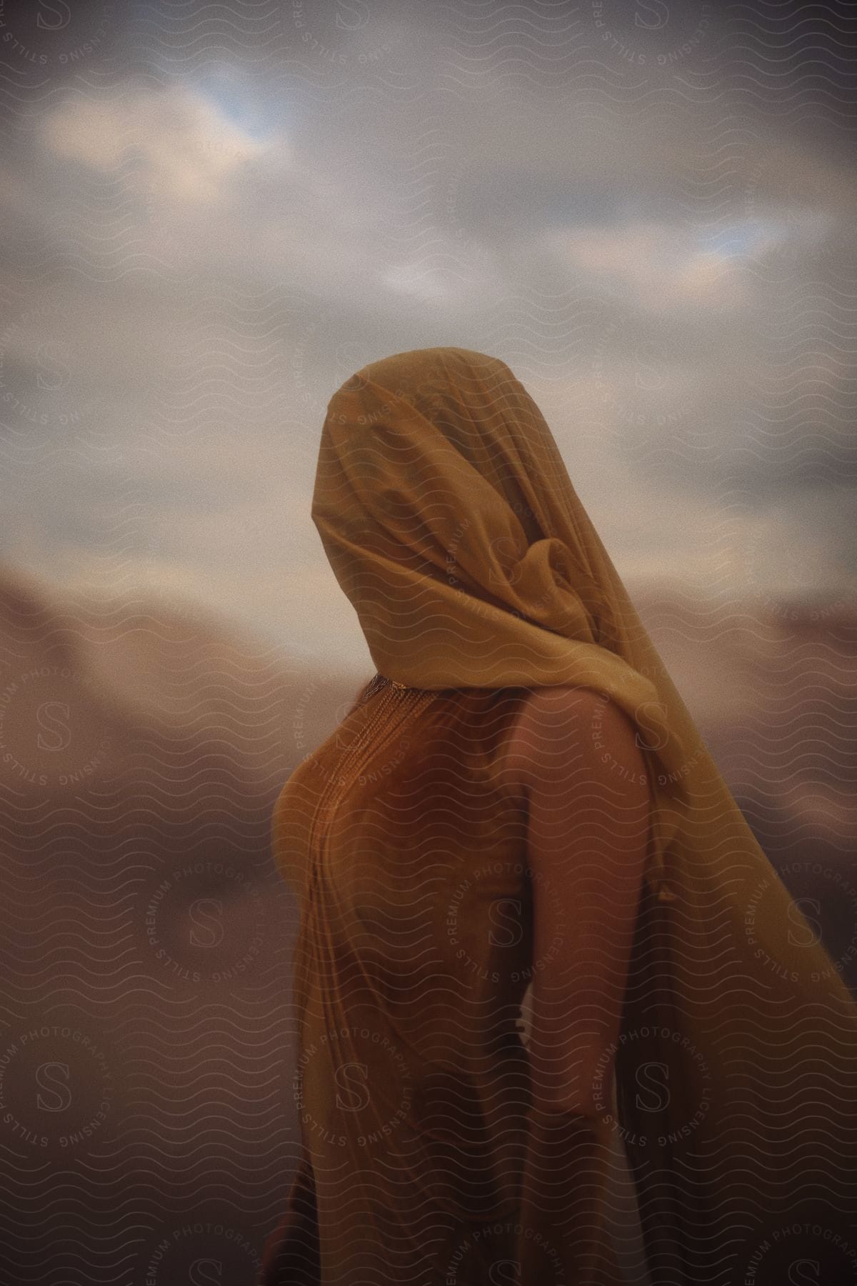 Woman wearing a suede dress with a veil covering her face in a natural desert environment with a blurred background