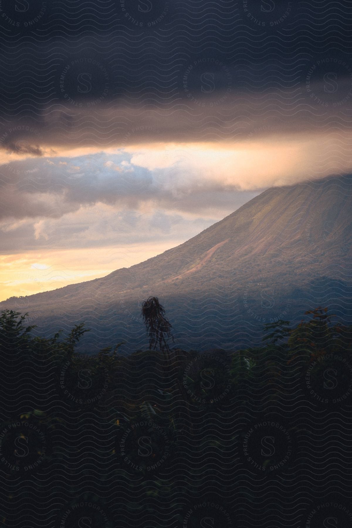 A view of a mountain with a forest at its base at sunset.