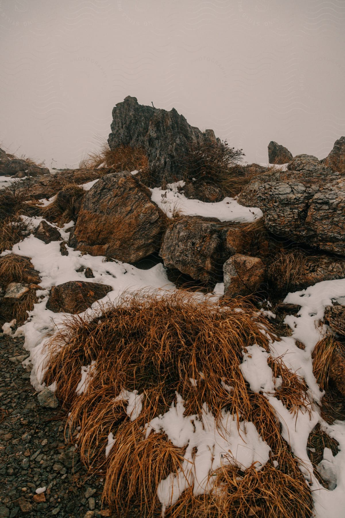 On top of a rock, there are brown grasses with patches of snow scattered around on a cloudy day.