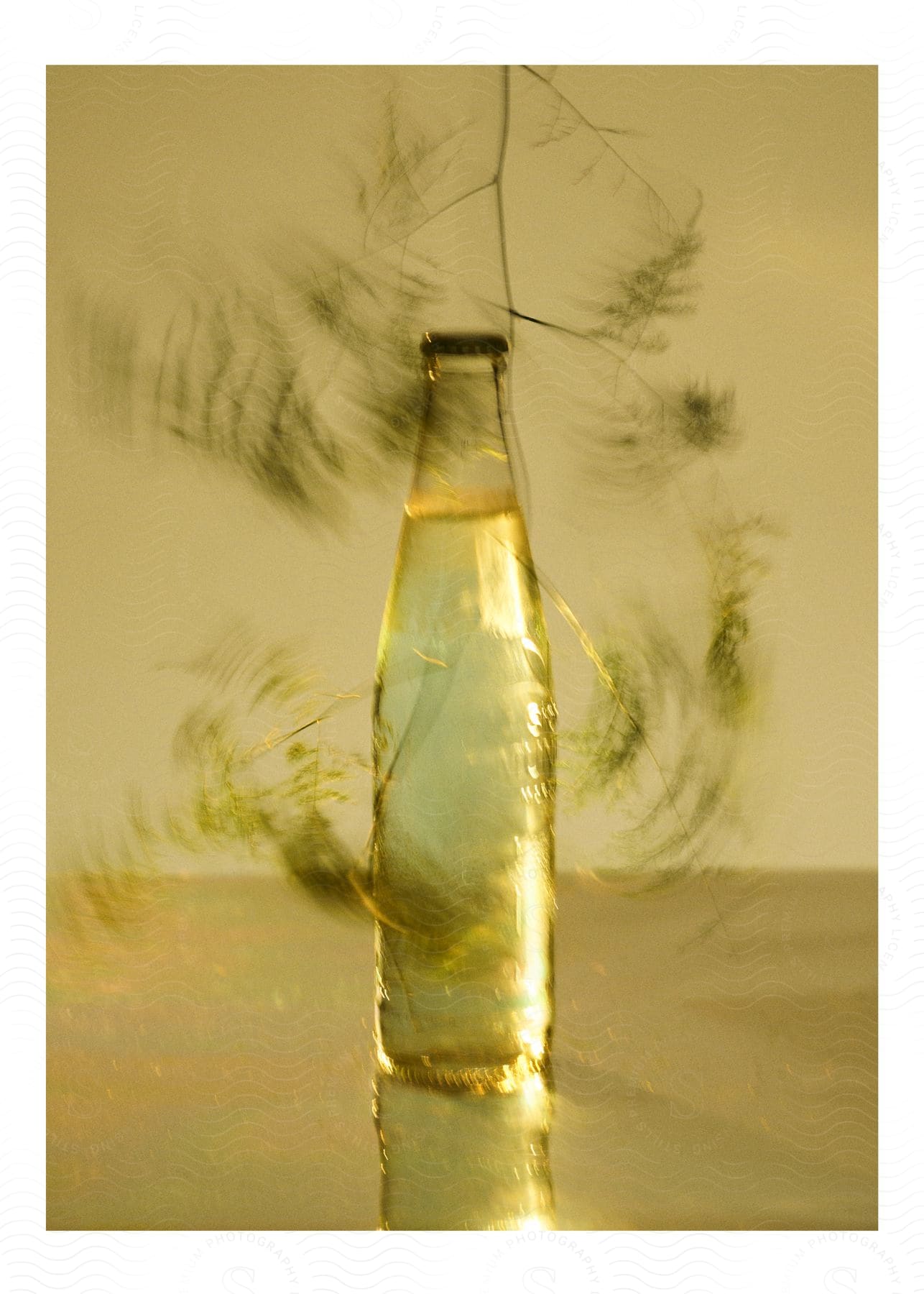 A branch and leaves in a blur of motion around a thin glass bottle full of liquid