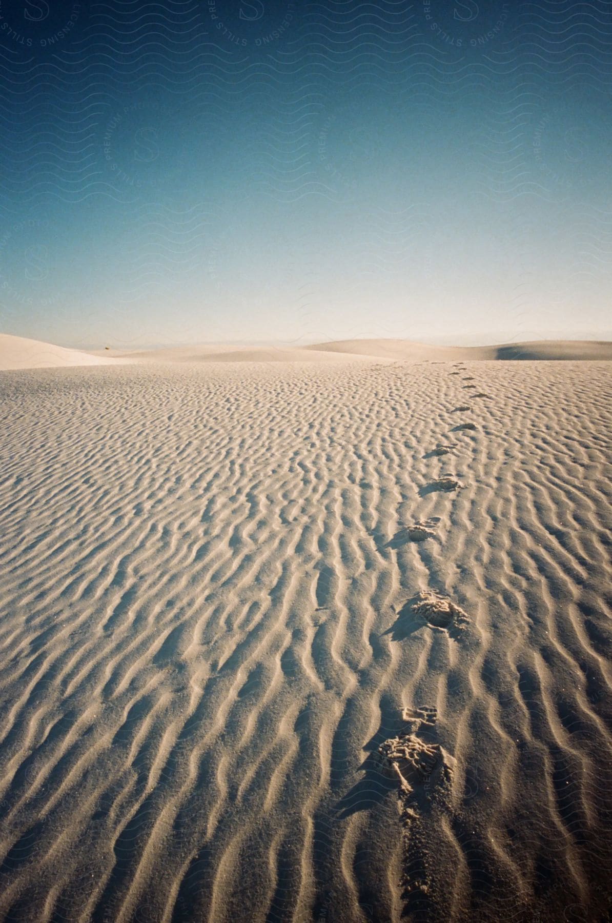 Stock photo of footprints across the rippling desert sand with drifted dunes in the distance