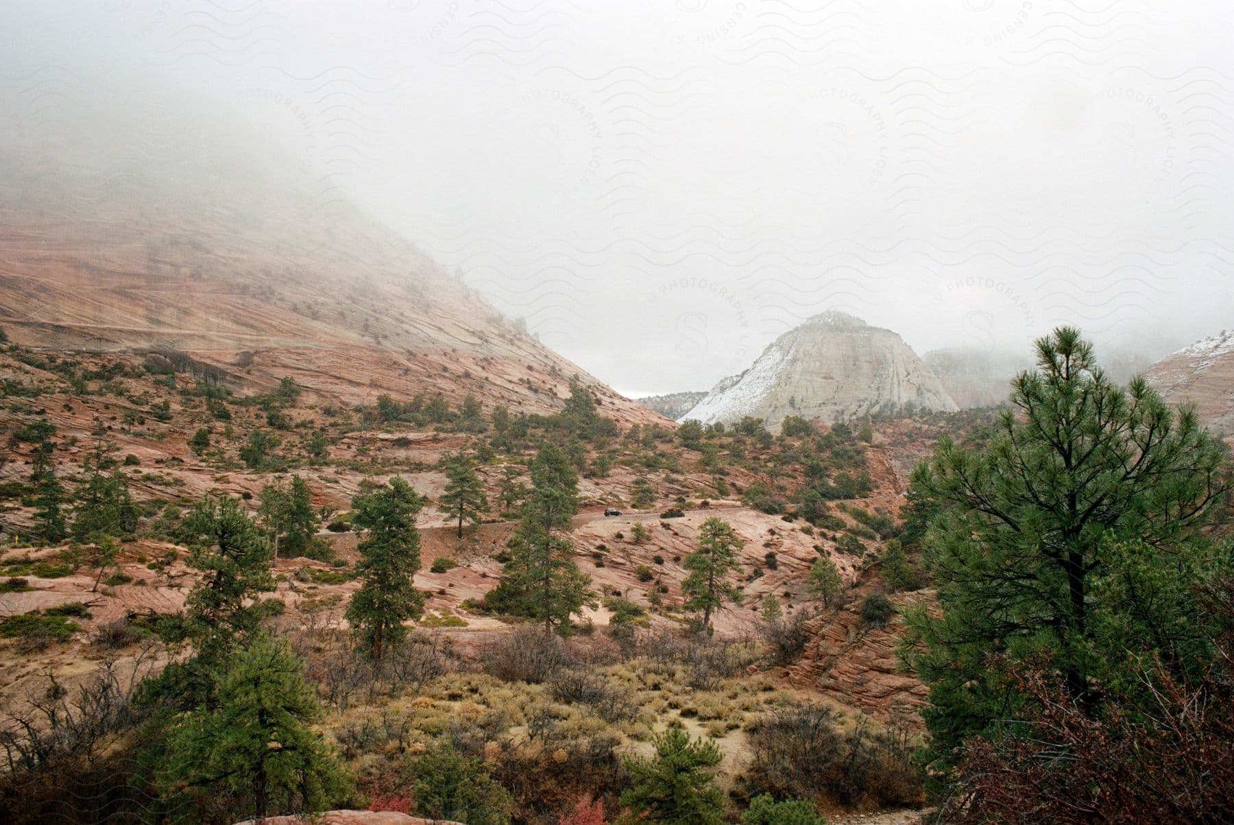 Misty view of a layered rock hillside with scattered pine trees and a dusting of snow on the peak under a cloudy sky.