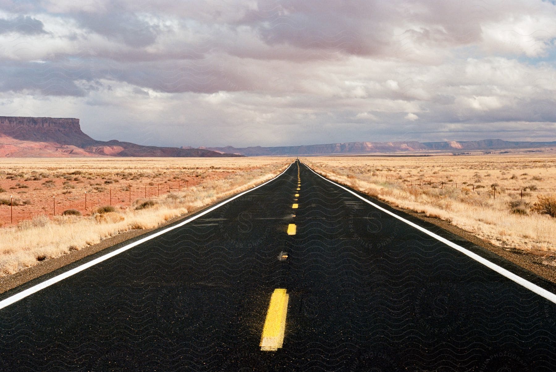 On a hot summer day in the countryside, an empty road winds its way through the landscape. Dry, dead grasses line the sides of the road