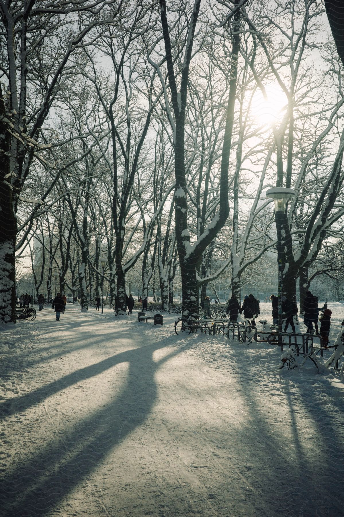 People walking in a snow covered park on a winter day