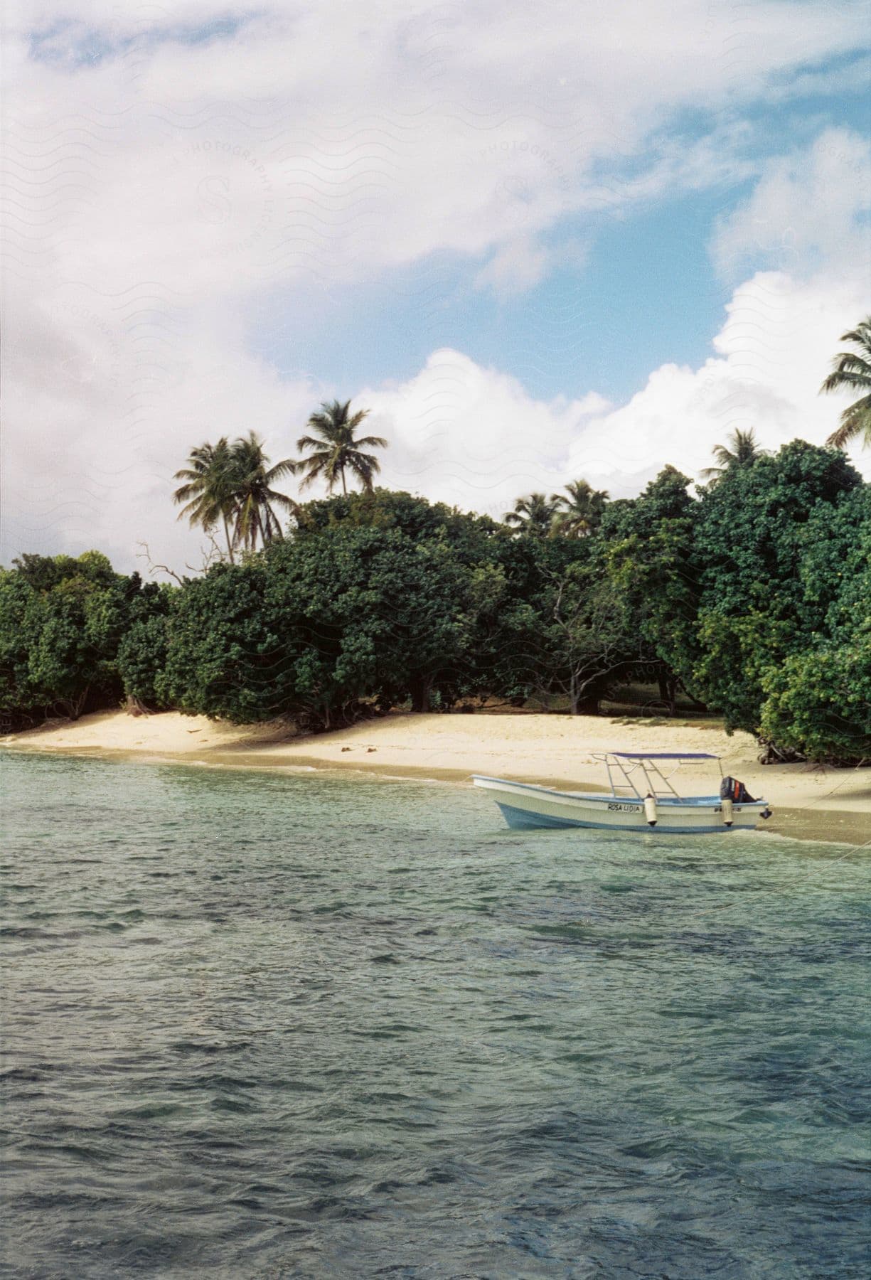 A quiet beach with calm waters and a boat anchored close to the shore, surrounded by lush vegetation and palm trees.