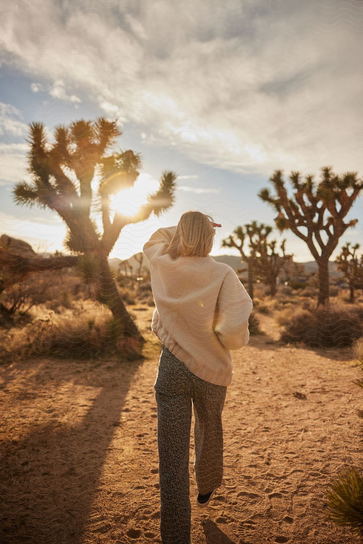 Woman standing in the desert looking at Joshua trees under a cloudy sky