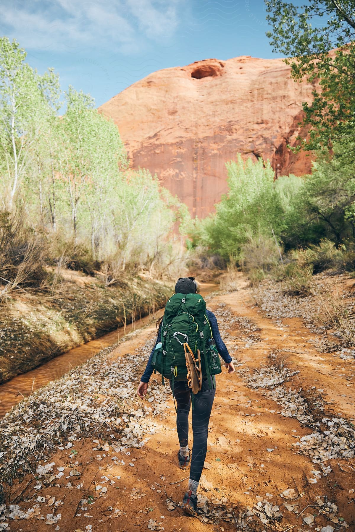 A woman shown from behind is walking down a dirt path in a forest area