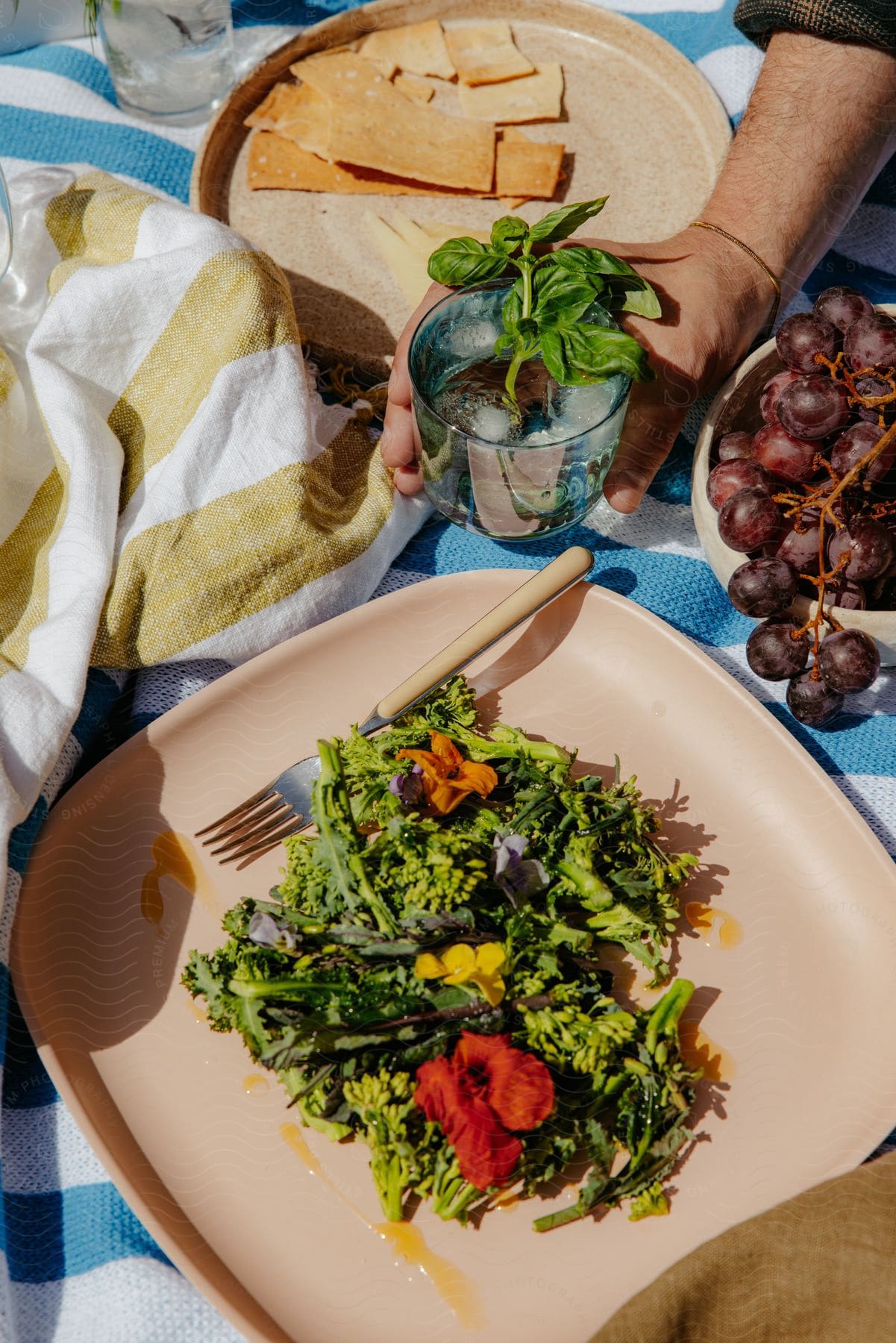 Outdoor picnic with a plate of green salad garnished with edible flowers, a glass of water with basil, and a bowl of grapes, with cheese and crackers on a round tray, all laid on a blue and white checkered cloth.