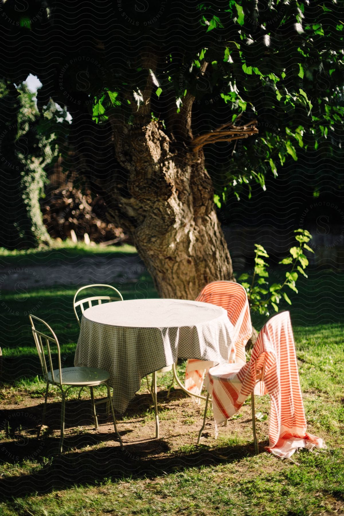 Tablecloth on a round table and chairs set up near a tree