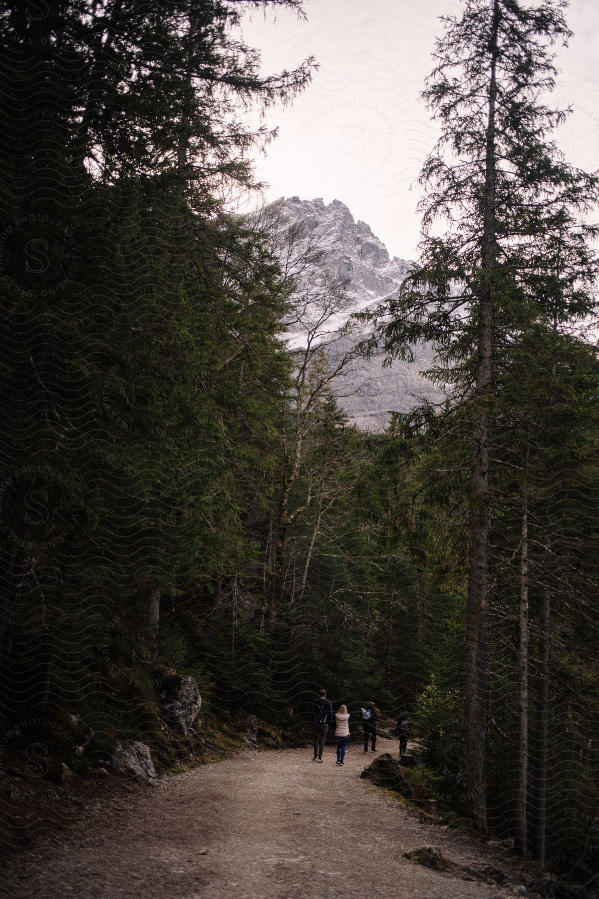 Four people walking down a dirt road in the middle of a forest with snowy mountains on the horizon.