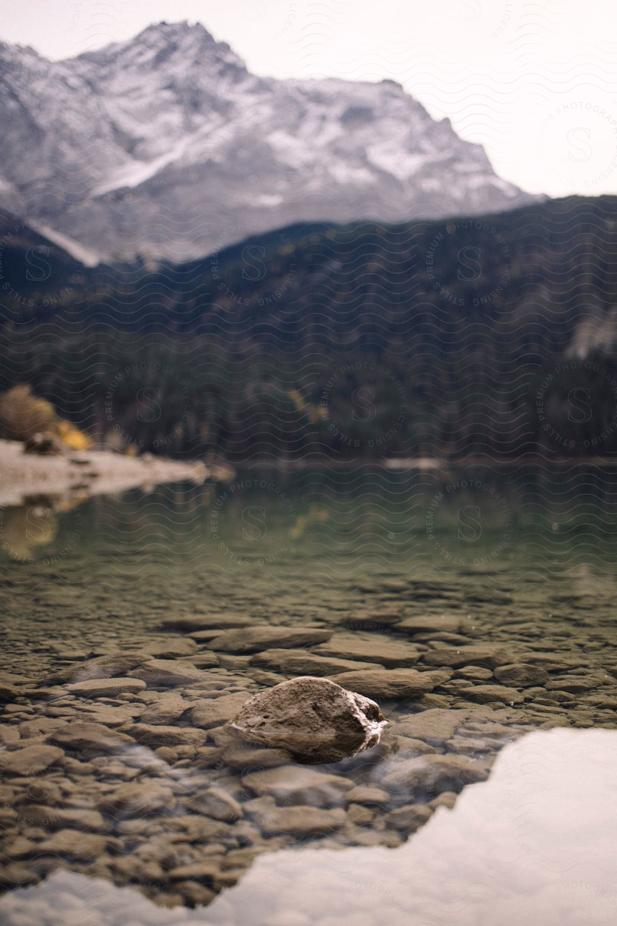 A lake with clear water reveals rocks underneath, while a distant mountain looms beyond the lake.