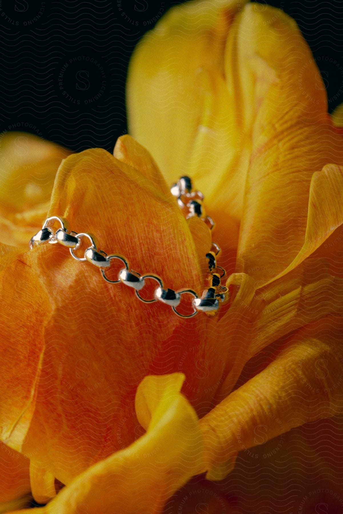 Silver bracelet on a yellow petal flower on a black blurred background.