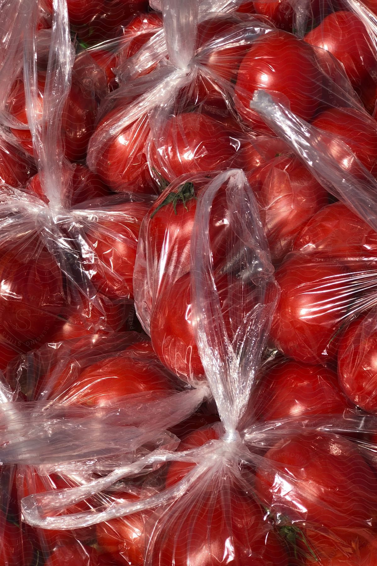 Ripe red tomatoes in plastic bags