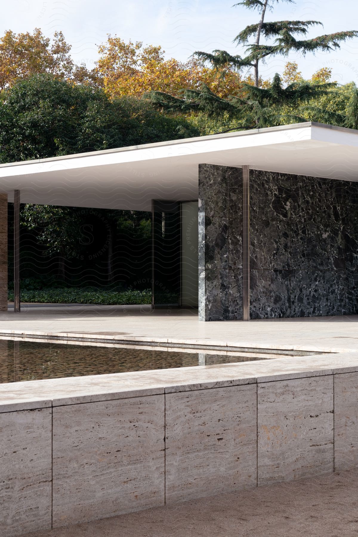 A building with a white roof is situated near a pool, surrounded by numerous tall trees in the background.