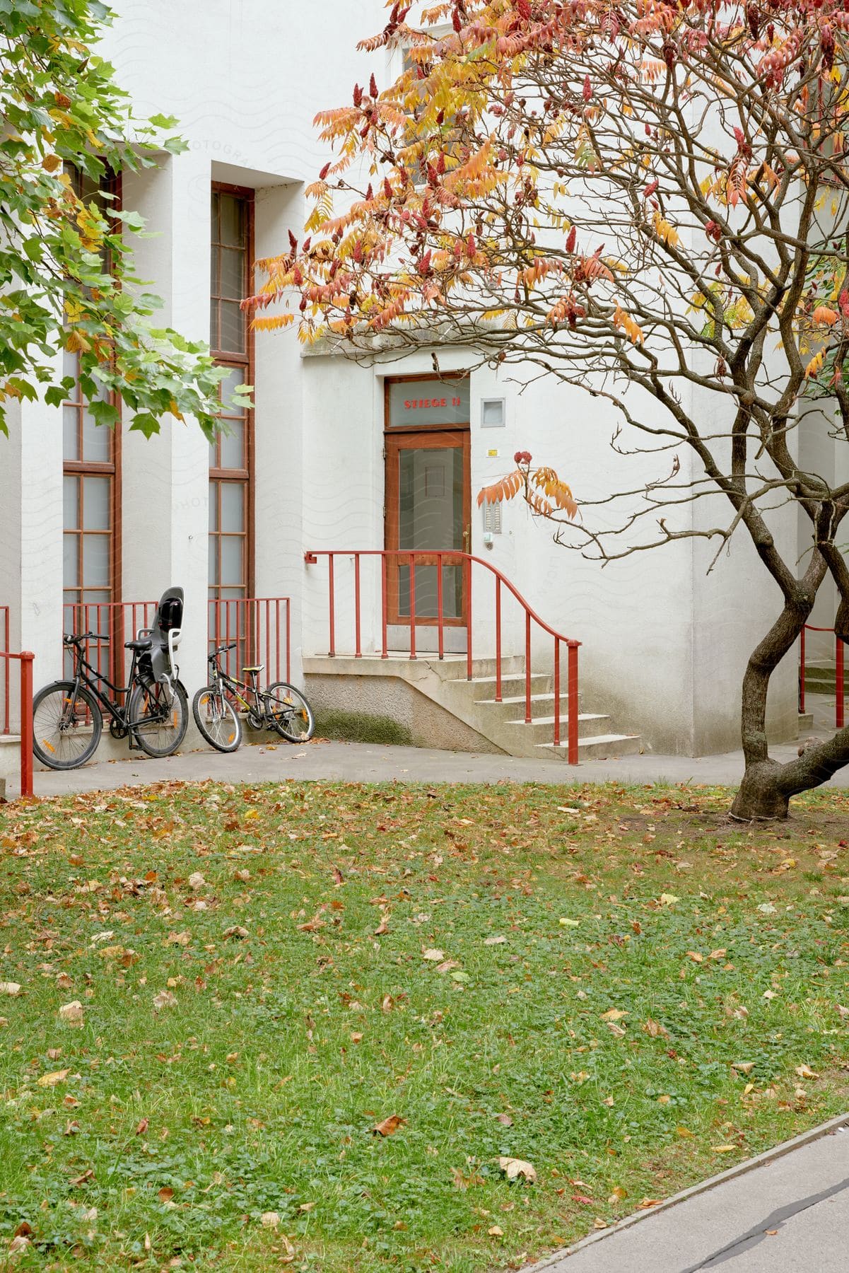 A black bicycle parked next to the entrance of a white building with a tree with red and yellow leaves to the right and green grass with fallen leaves in front.