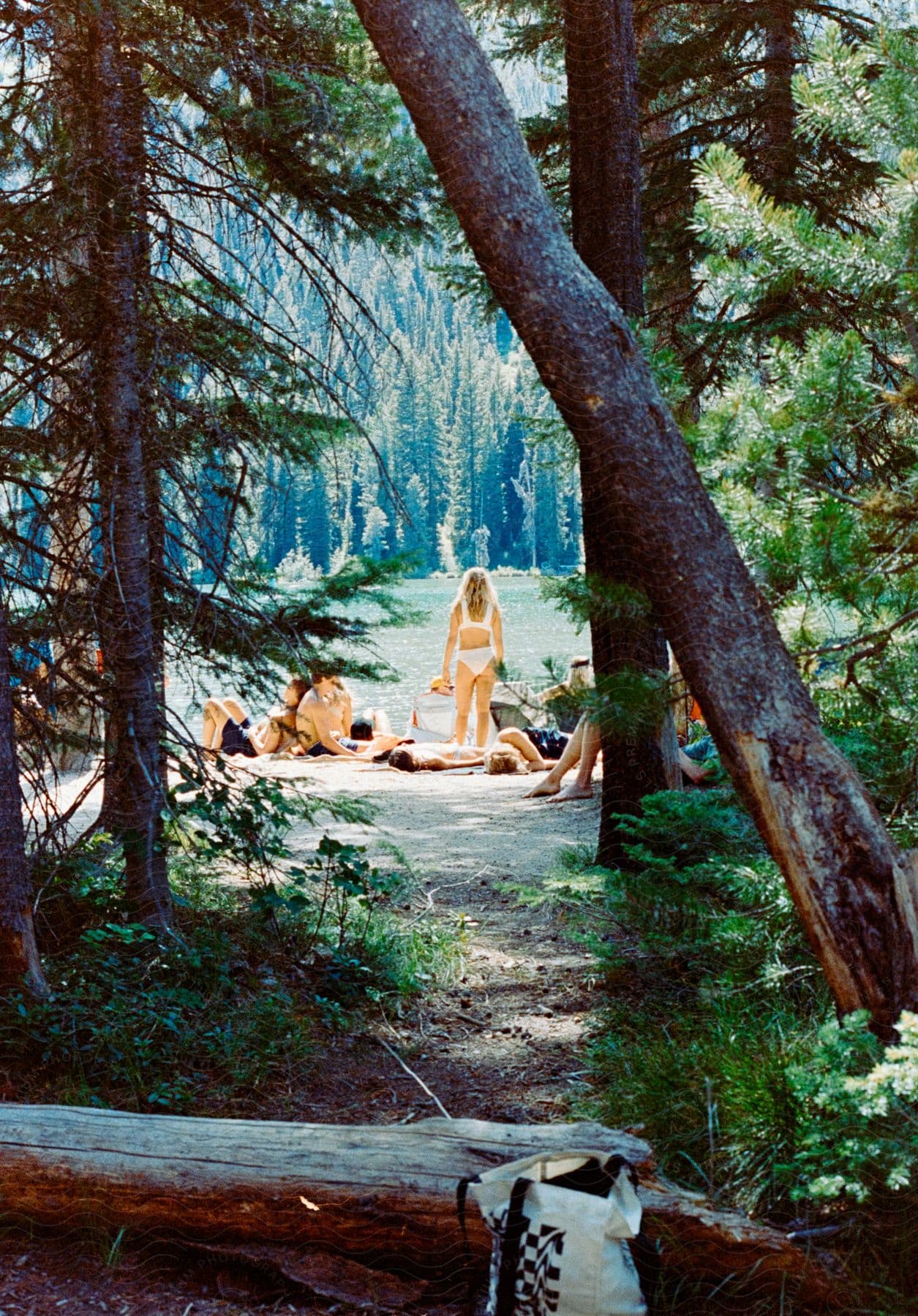 A group of people relax next to a lake in an evergreen forest.
