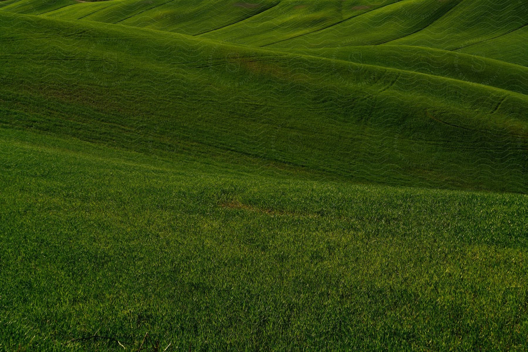 Natural and greenish countryside with reliefs and hills