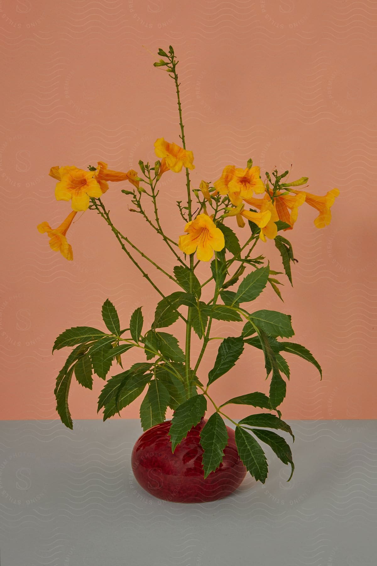 A bouquet of yellow flowers in a circular vase