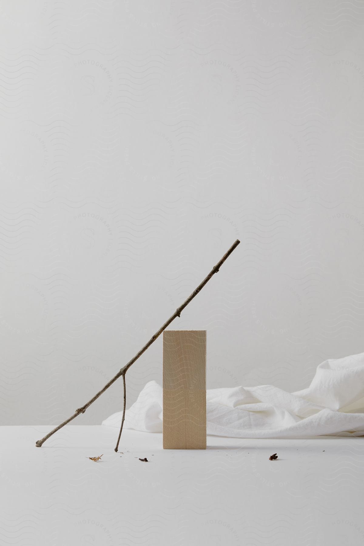 A rough-hewn wooden block sits with a branch resting on top of it.