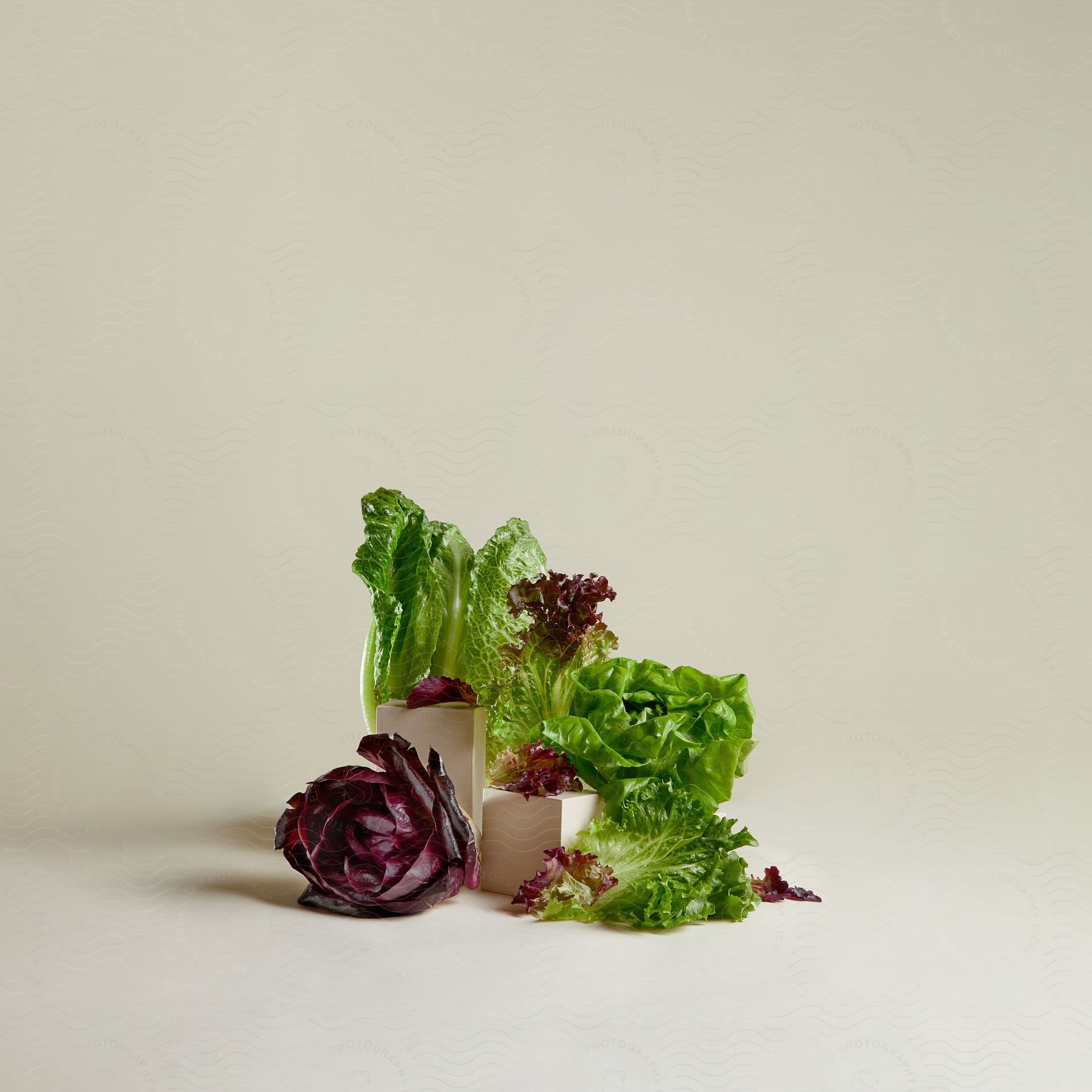 A lettuce broken apart.