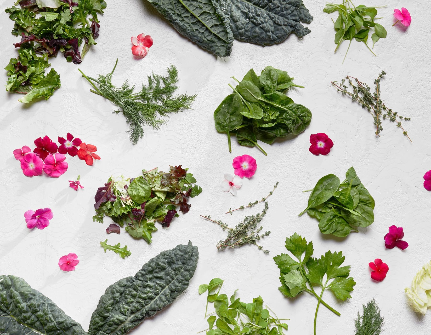 Assortment of edible leaves and flowers arranged on a white textured surface.