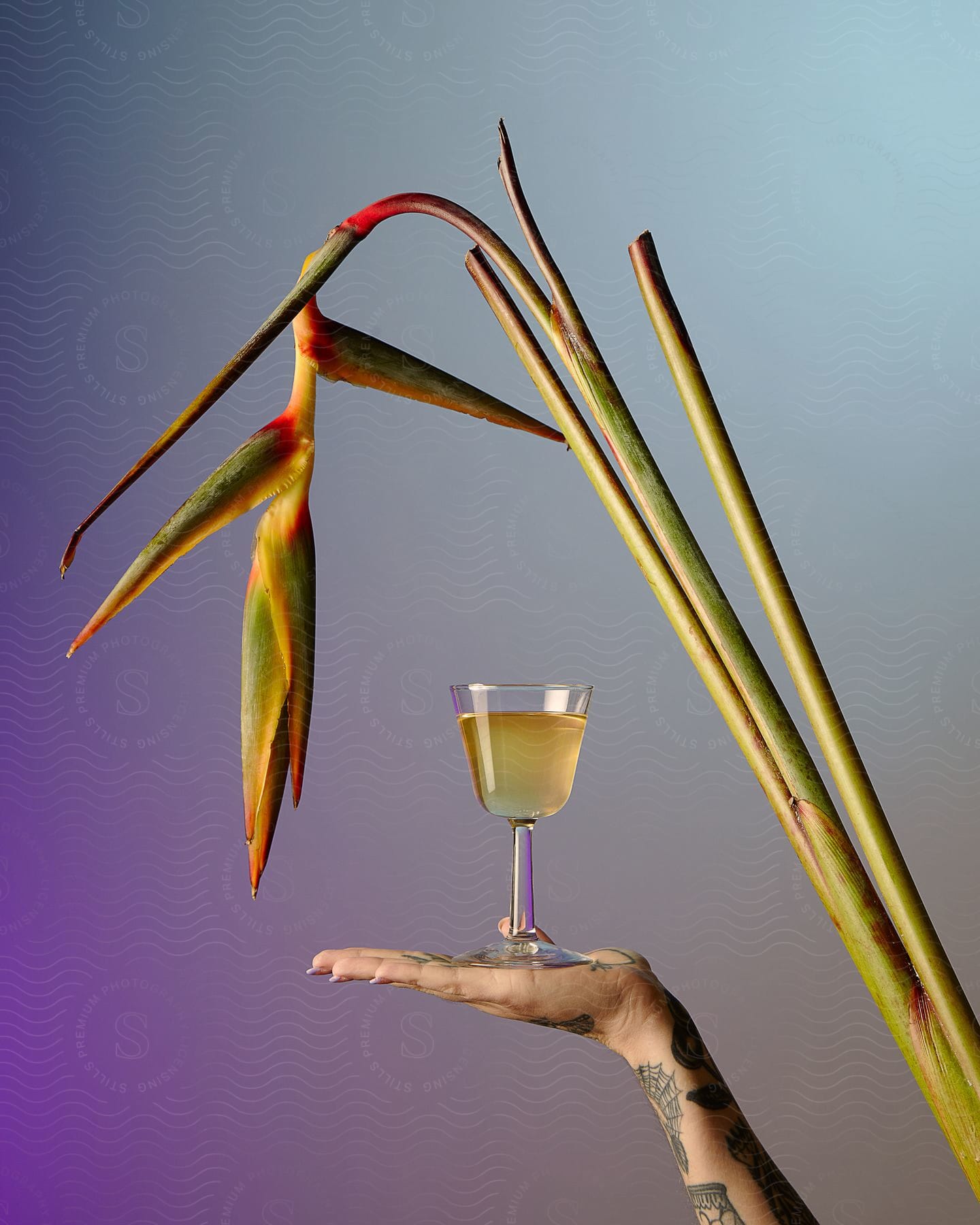 A woman's tattooed arm and upturned hand holds a drink under an olive branch.