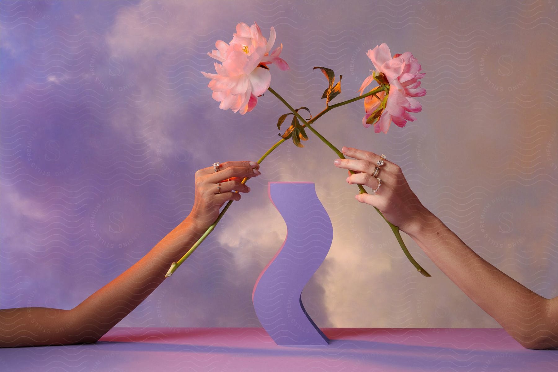 Two women's hands holding a pink flower and wearing rings with precious stones.