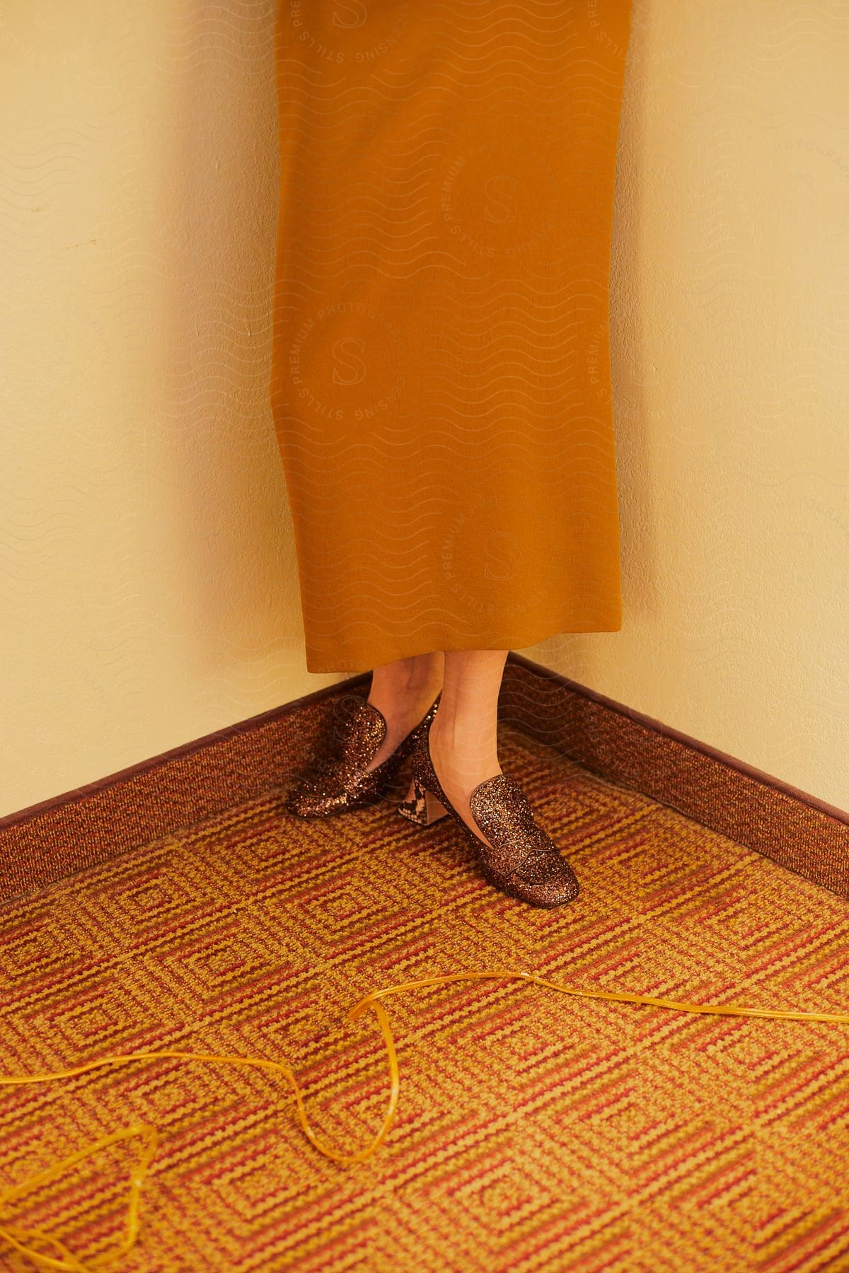 A view of a woman in a dress with shoes