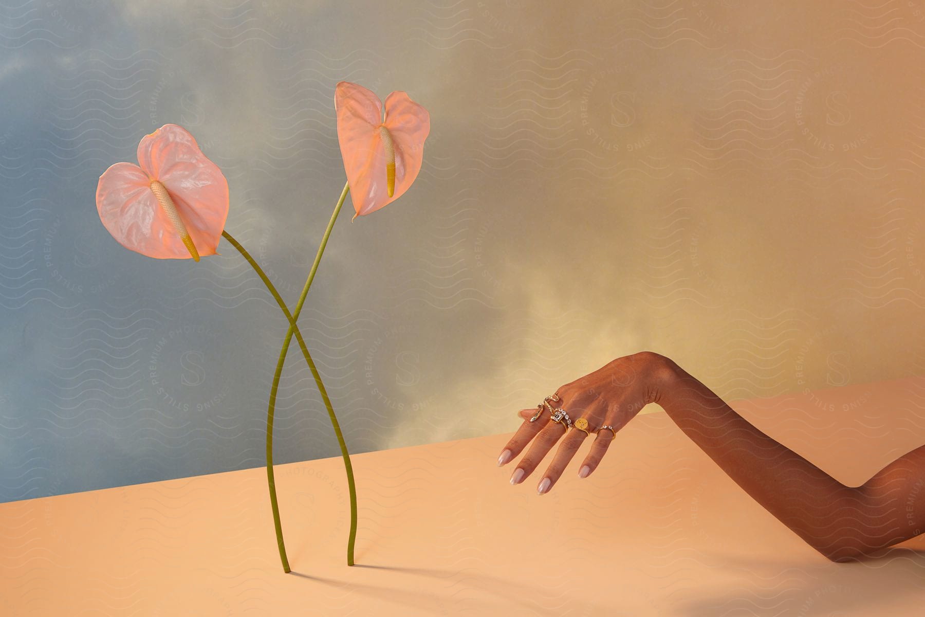 A woman lets her wrist drop to show manicured nails on fingers adorned with rings next to two standing flowers.