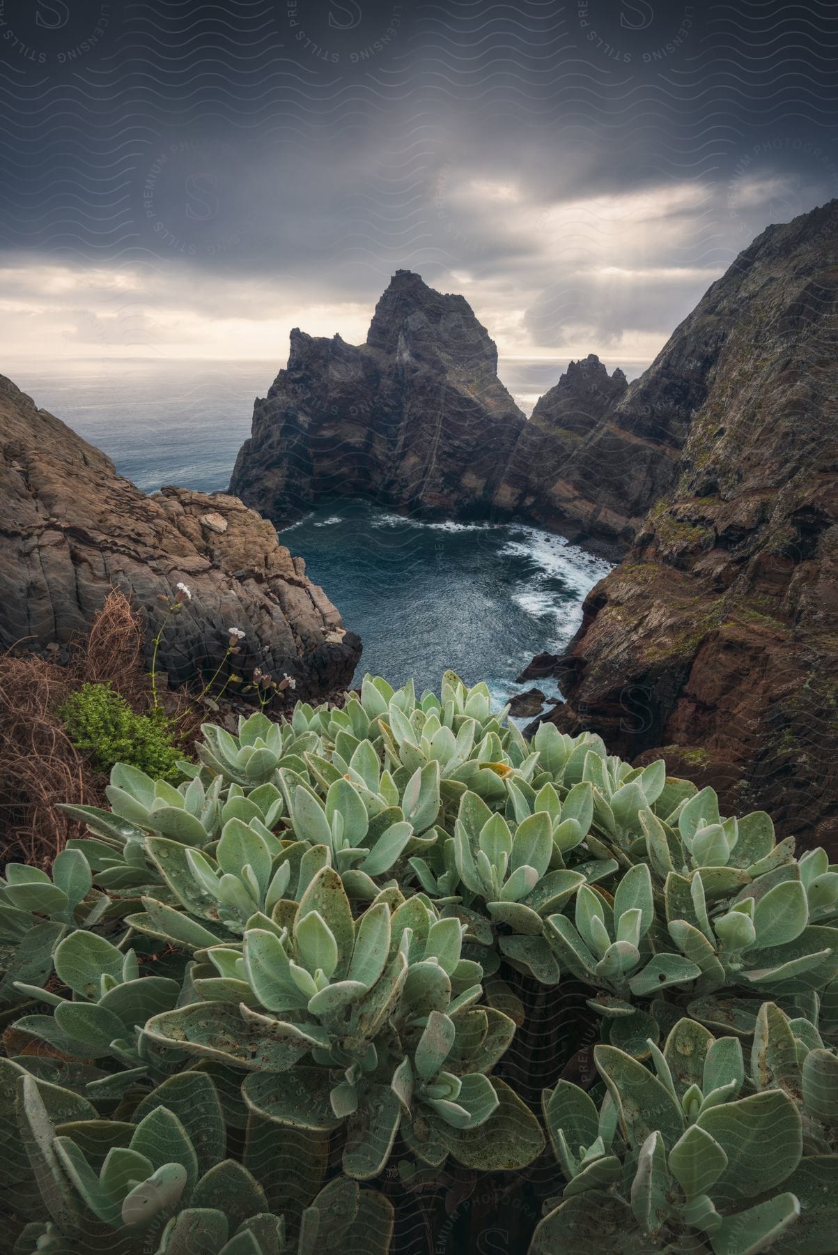 A dramatic view of a rocky cliff with lush vegetation in the foreground and the ocean below under a cloudy sky.