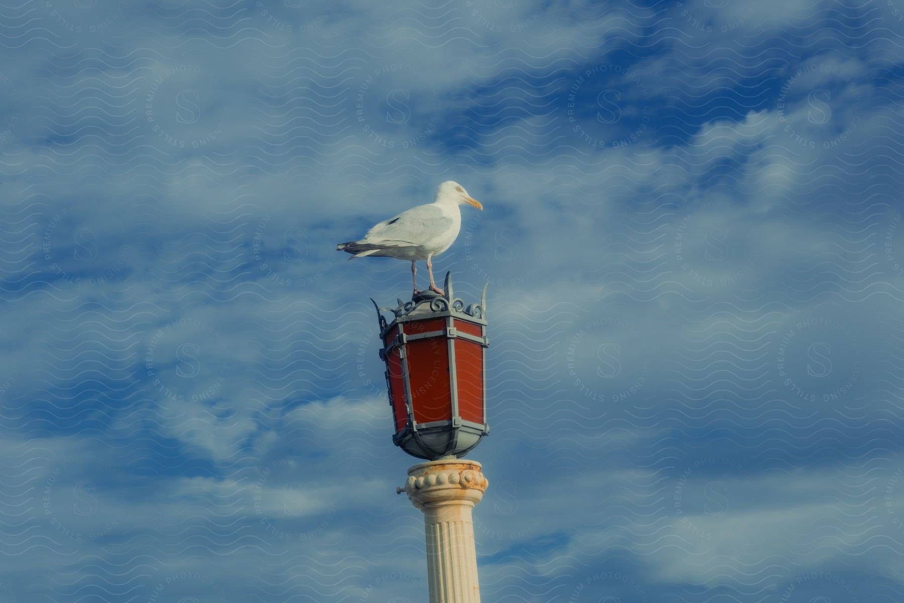 White Bird With Yellow Beak On Top Of A Pole With A Vintage Lamp And Overlooking The Blue Sky With Clouds