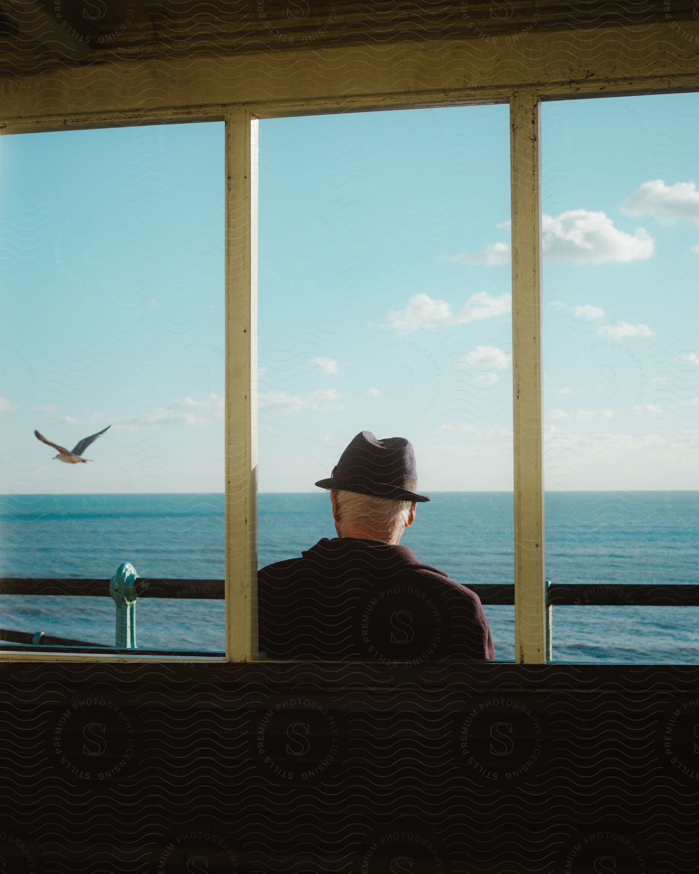 Gentleman in a hat with his back sitting on a tourist boat with a view of the sea and a bird flying.
