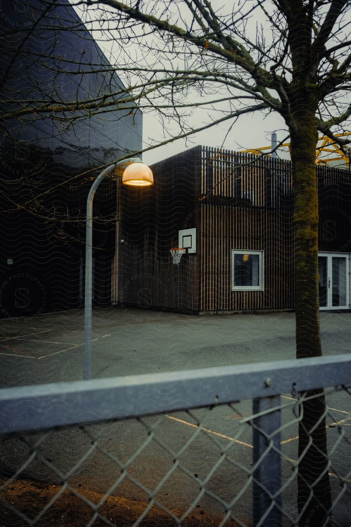 A small basketball court with a dry tree and a lamp post and in front of a wire fence