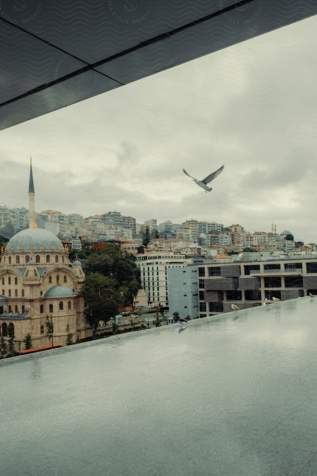 Aerial of a city with mosque, buildings, a flying bird and cloudy sky.
