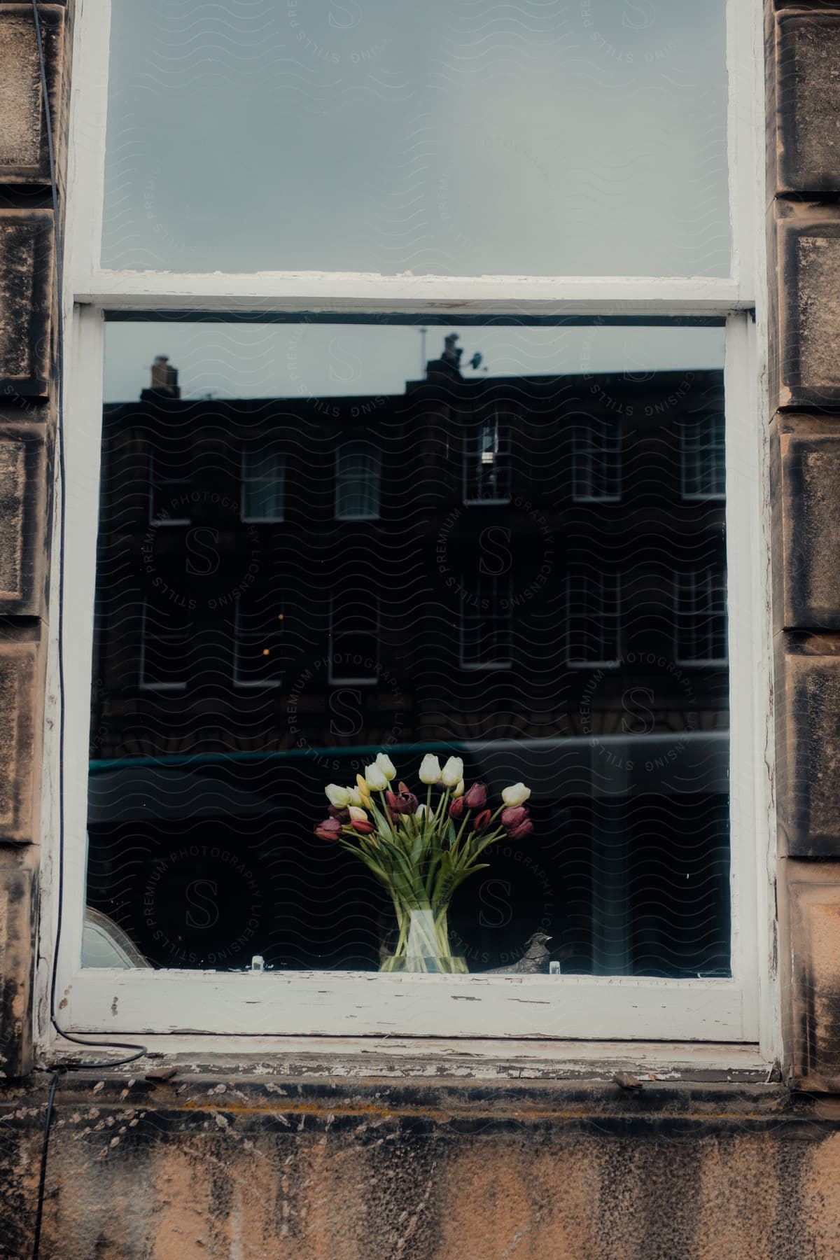 A flower vase on a window sill, the window's glass reflecting the building on the other side of the road.