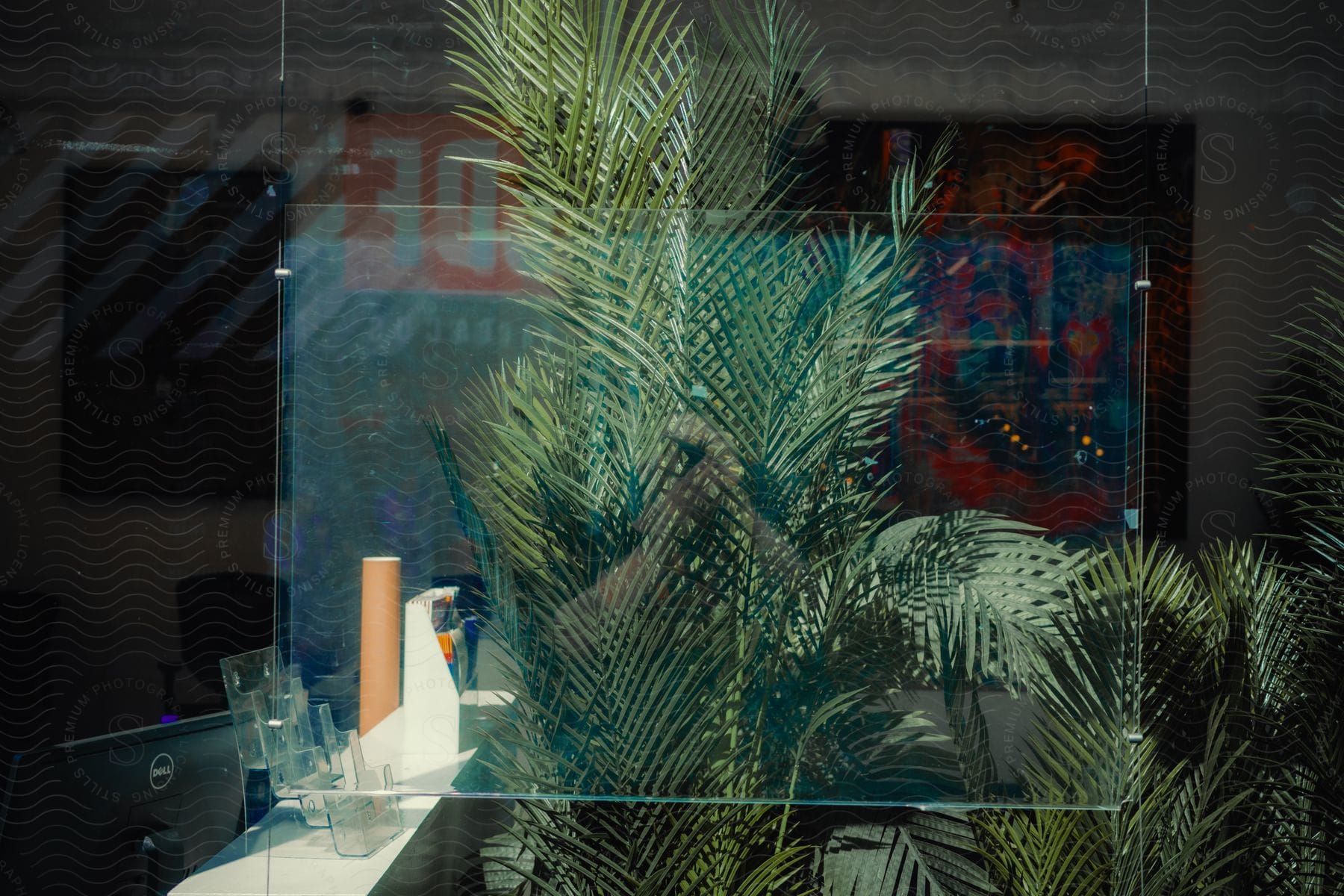 Through a window, you can see the reflection of palm leaves, giving you a glimpse of the inside of a table and the objects on it.