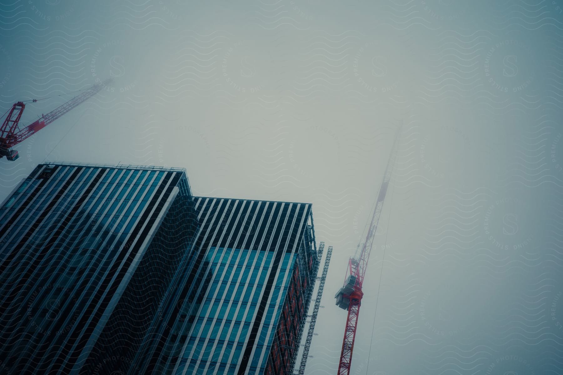 Construction cranes stand alongside tall skyscrapers