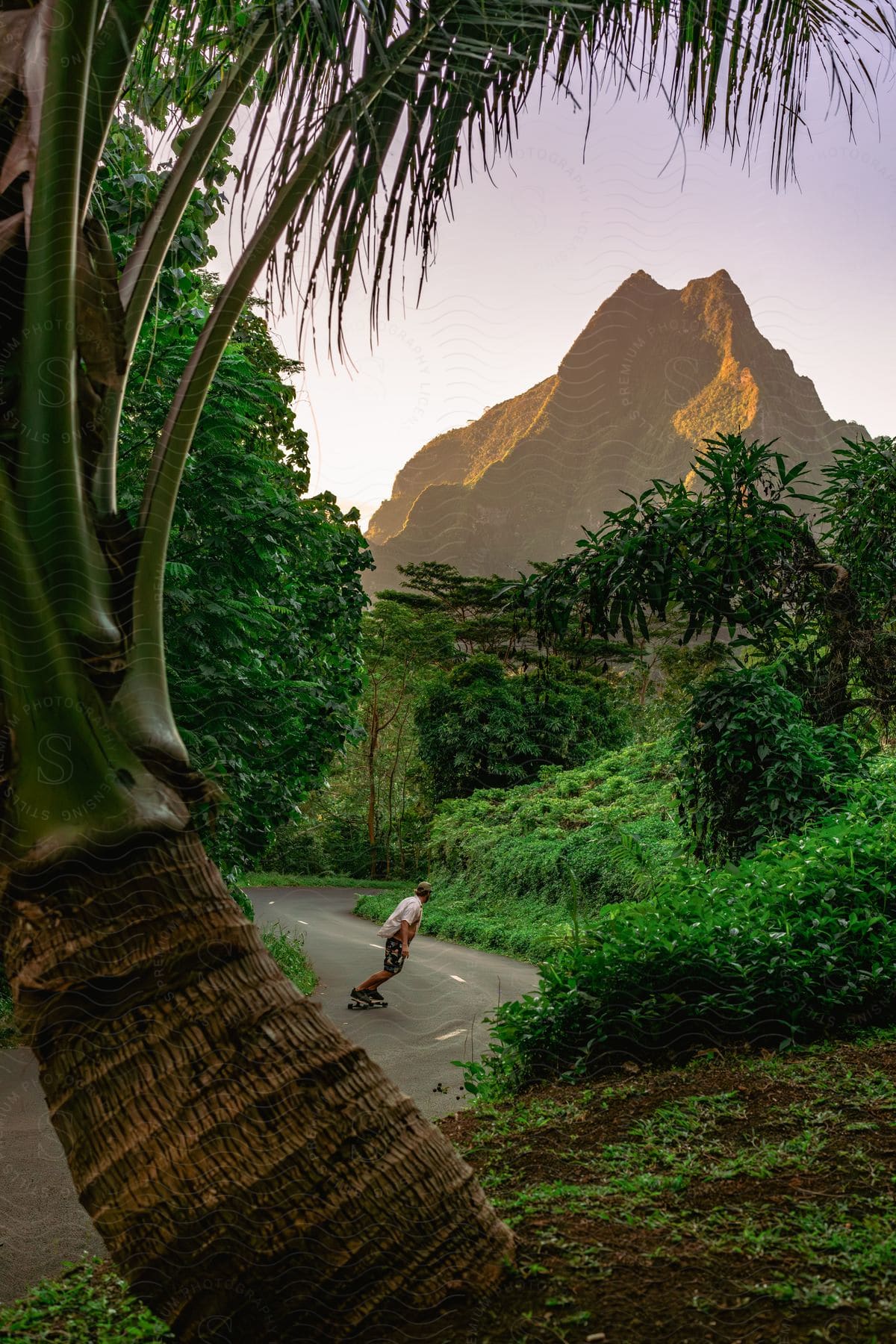 Man skateboarding on a paved road in the middle of a tropical forest with a mountain on the horizon.