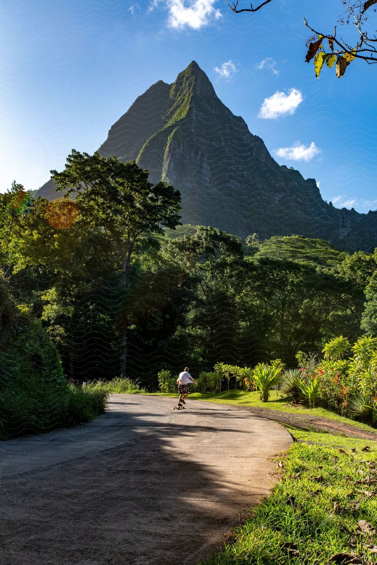 A person is riding a skateboard on a street surrounded by vegetation and trees and in the background there is a huge mountain