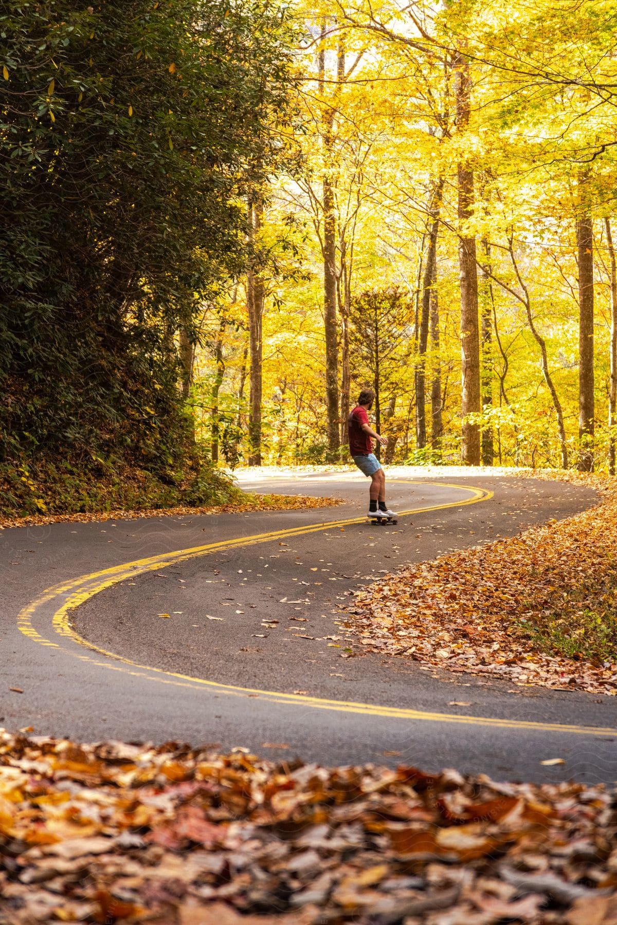 A man riding a skateboard on an asphalt street with a yellow line in the middle and many trees and fallen leaves around him