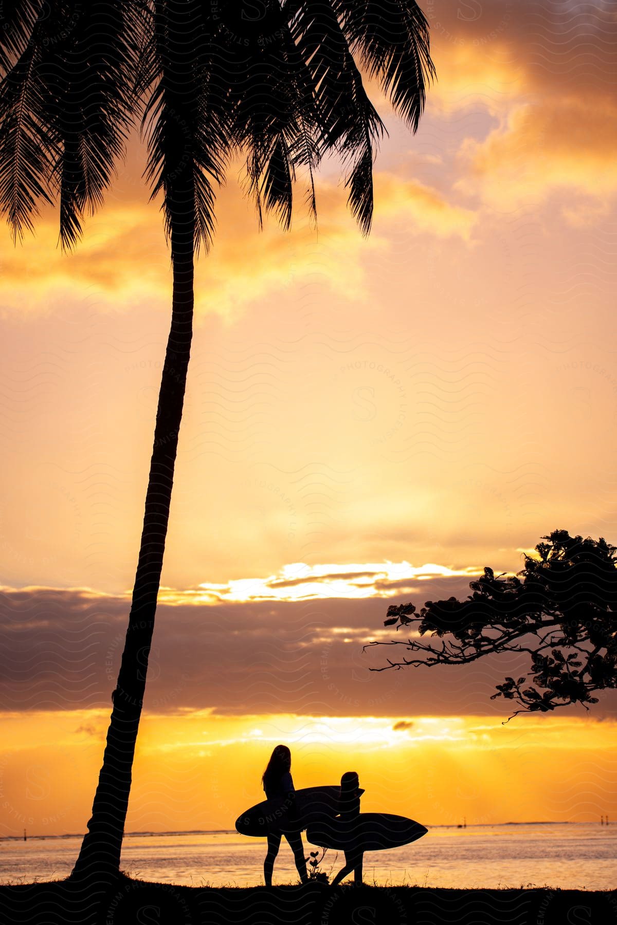 The silhouette of two people holding surfboards on the beach next to a palm tree during sunrise